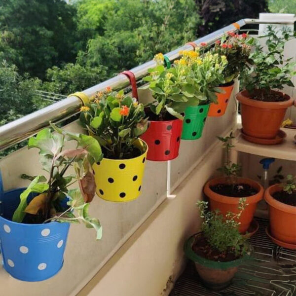 Polka Pro Planter - Set Of Five