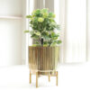 Royale Golden Metal Fluted Planter