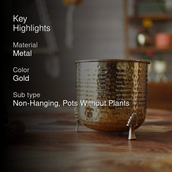 Shaera Metal Planter - Gold