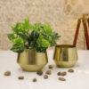 Simone Oak Planter (Gold) - Set Of Two Simone Oak Planter (Gold) - Set Of Two