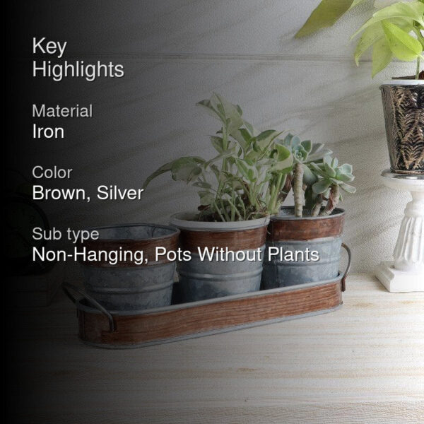 Sinora Sila Planter - Set Of Four Sinora Sila Planter - Set Of Four