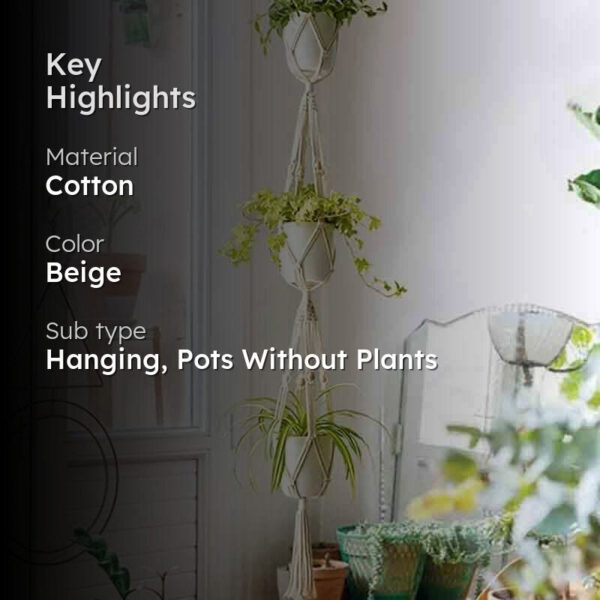 Sofia Macrame Plant Hanger - Set Of Two