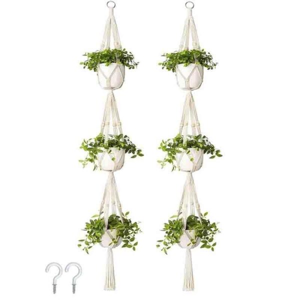 Sofia Macrame Plant Hanger - Set Of Two