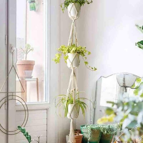 Sofia Macrame Plant Hanger - Set Of Two