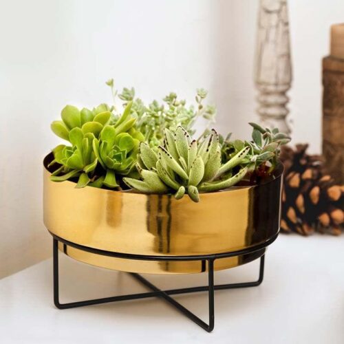 Sooty Patootie Planter-Gold Sooty Patootie Planter-Gold