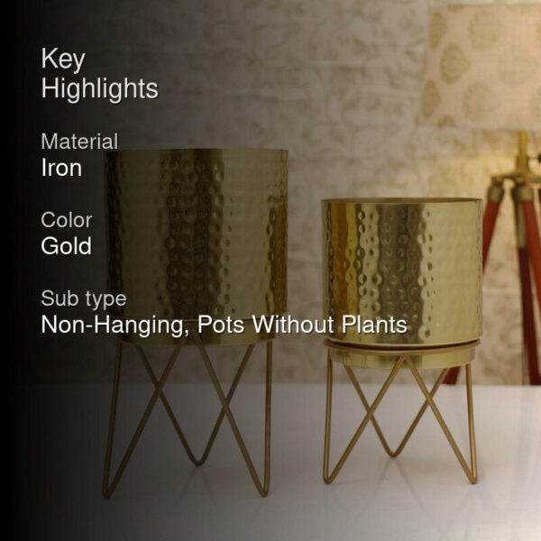 Teodora Hammered Planter (Gold) - Set Of Two