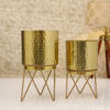 Teodora Hammered Planter (Gold) - Set Of Two