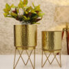 Teodora Hammered Planter (Gold) - Set Of Two