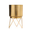 Teodora Planter - Gold