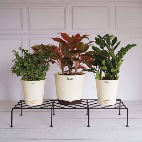 UGAOO Rectangular Flower Pot Stand (Black)- Set Of Four