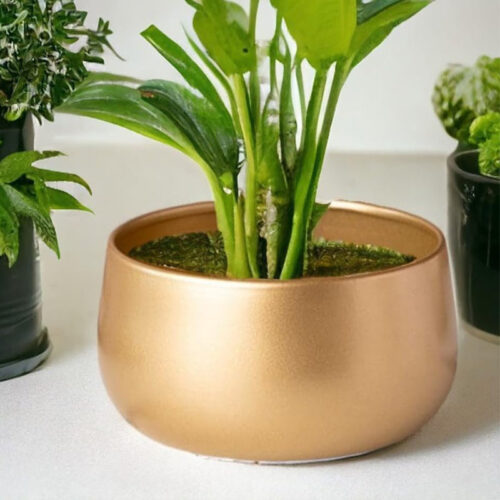 Utmi Golden Planter Utmi Golden Planter