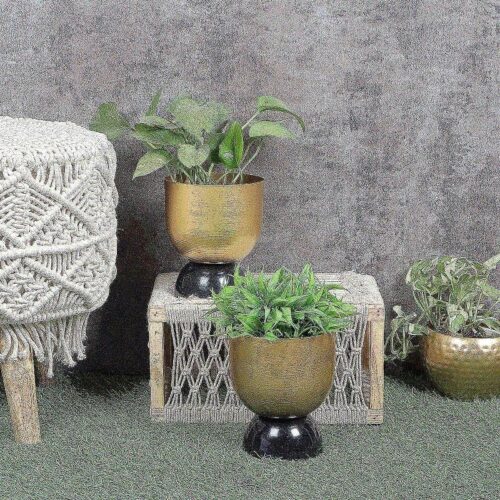 Vivaan Vena Planter - Set Of Two Vivaan Vena Planter - Set Of Two