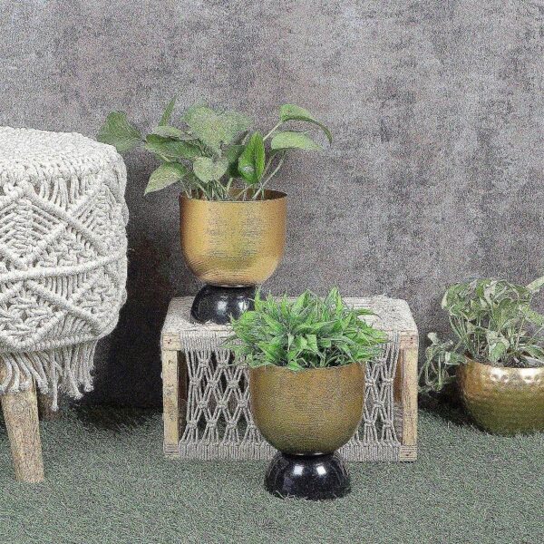 Vivaan Vena Planter - Set Of Two