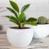 Whimsical White Planters - Set Of Two