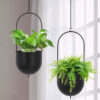 Zaira Hanging Planter - Set Of Two