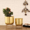 Zeren Olive Planter (Gold) - Set Of Two