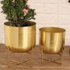 Zeren Olive Planter (Gold) - Set Of Two