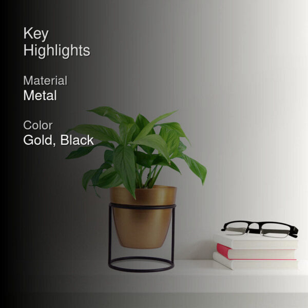 Zutoia Black Planter - White