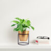 Zutoia Black Planter - White