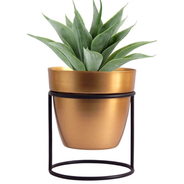 Zutoia Black Planter - White