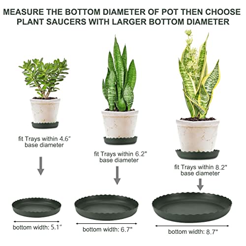 12Pcs Plant Saucer, 6 8 10 Inch Durable Plastic Plant Tray, Black Round Plant Pot Saucers, Drip Tray for Indoor and Outdoor Garden 12Pcs Plant Saucer, 6 8 10 Inch Durable Plastic Plant Tray, Black Round Plant Pot Saucers, Drip Tray for Indoor and Outdoor Garden