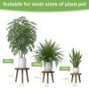 3-Pack Wood Plant Stands Indoor, Single Plant Stand for 6-12 Inch Pots, Mid-Century Modern Plant Stool, Tall Plant Stand for Large Plants Perfect... 3-Pack Wood Plant Stands Indoor, Single Plant Stand for 6-12 Inch Pots, Mid-Century Modern Plant Stool, Tall Plant Stand for Large Plants Perfect...