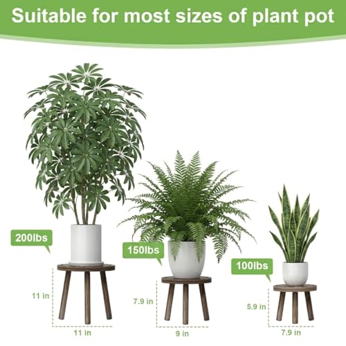 3-Pack Wood Plant Stands Indoor, Single Plant Stand for 6-12 Inch Pots, Mid-Century Modern Plant Stool, Tall Plant Stand for Large Plants Perfect... 3-Pack Wood Plant Stands Indoor, Single Plant Stand for 6-12 Inch Pots, Mid-Century Modern Plant Stool, Tall Plant Stand for Large Plants Perfect...