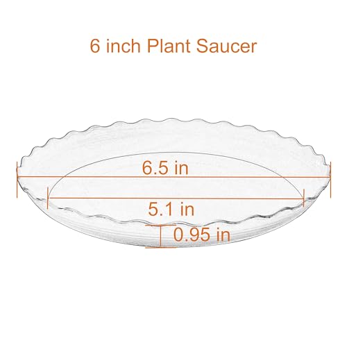 6 Pack Plant Saucer, 6 inch Plant Trays for Pots, Heavy Duty Plant Saucers for Indoors no Holes, Plastic Plant Saucer for Planter (6", Black) 6 Pack Plant Saucer, 6 inch Plant Trays for Pots, Heavy Duty Plant Saucers for Indoors no Holes, Plastic Plant Saucer for Planter (6", Black)