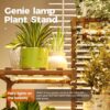 Bamworld Plant Stand with Grow Light Plant Shelf for Mutiple Pots Large Plant Holder for Living Room Patio Boho Home Decor for Gardening Warm Light Bamworld Plant Stand with Grow Light Plant Shelf for Mutiple Pots Large Plant Holder for Living Room Patio Boho Home Decor for Gardening Warm Light