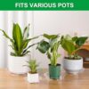 CATIFLIN 24 Pack Clear Plant Saucers - 6, 8, 10, 12 Inch Plastic Plant Trays for Pots, Flower Pot Saucers, Indoor & Outdoor Planter Drip Tray for... CATIFLIN 24 Pack Clear Plant Saucers - 6, 8, 10, 12 Inch Plastic Plant Trays for Pots, Flower Pot Saucers, Indoor & Outdoor Planter Drip Tray for...