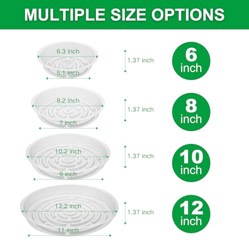 CATIFLIN 24 Pack Clear Plant Saucers - 6, 8, 10, 12 Inch Plastic Plant Trays for Pots, Flower Pot Saucers, Indoor & Outdoor Planter Drip Tray for... CATIFLIN 24 Pack Clear Plant Saucers - 6, 8, 10, 12 Inch Plastic Plant Trays for Pots, Flower Pot Saucers, Indoor & Outdoor Planter Drip Tray for...