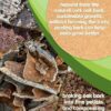 Cork Plant Coasters, Double Layers 6 Inch Cork Planter Coaster, Absorbent Cork Plant Mats, Cork Plant Coasters for House Plants, 6 Pcs Cork Plant Coasters, Double Layers 6 Inch Cork Planter Coaster, Absorbent Cork Plant Mats, Cork Plant Coasters for House Plants, 6 Pcs
