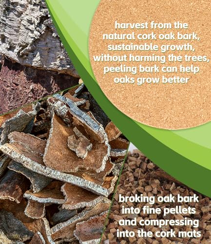Cork Plant Coasters, Double Layers 6 Inch Cork Planter Coaster, Absorbent Cork Plant Mats, Cork Plant Coasters for House Plants, 6 Pcs Cork Plant Coasters, Double Layers 6 Inch Cork Planter Coaster, Absorbent Cork Plant Mats, Cork Plant Coasters for House Plants, 6 Pcs