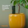 Fiskars Watering Spike for Indoor Plants, Self-Watering Device to Water Plants While Away, Continuous Hydration for Care on Vacation & Travel,... Fiskars Watering Spike for Indoor Plants, Self-Watering Device to Water Plants While Away, Continuous Hydration for Care on Vacation & Travel,...