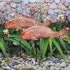 Garden Statues Koi Fish Decor Outdoor Garden Fish Statues, Set of 2 Antique Copper Koi Art Sculptures for Patio, Backyard, Pond and Home Decor,... Garden Statues Koi Fish Decor Outdoor Garden Fish Statues, Set of 2 Antique Copper Koi Art Sculptures for Patio, Backyard, Pond and Home Decor,...