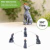 Goodeco Dog Statue with Solar Butterfly - Ideal Gifts for Mom, Dad or Birthdays, Beautifully Crafted Outdoor Decorations to Wow Your Guests Goodeco Dog Statue with Solar Butterfly - Ideal Gifts for Mom, Dad or Birthdays, Beautifully Crafted Outdoor Decorations to Wow Your Guests