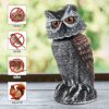 Hedoc 2 Pack Fake Owl Decoys to Scare Birds Away, Rotating Head Bird Deterrents, Nature Enemy Scarecrow Plastic Statues, Pest Repellent for Gardens... Hedoc 2 Pack Fake Owl Decoys to Scare Birds Away, Rotating Head Bird Deterrents, Nature Enemy Scarecrow Plastic Statues, Pest Repellent for Gardens...