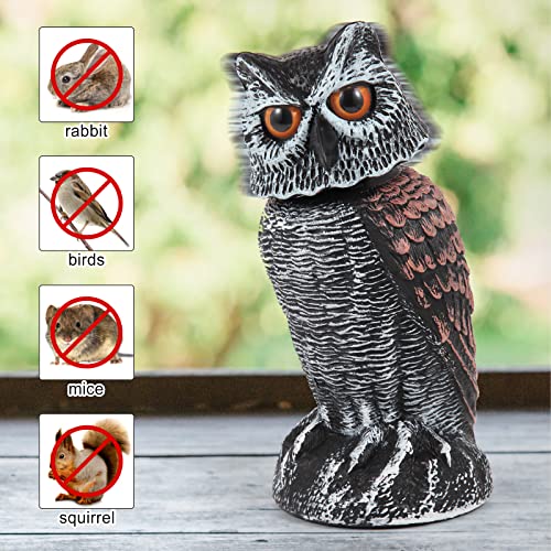 Hedoc 2 Pack Fake Owl Decoys to Scare Birds Away, Rotating Head Bird Deterrents, Nature Enemy Scarecrow Plastic Statues, Pest Repellent for Gardens... Hedoc 2 Pack Fake Owl Decoys to Scare Birds Away, Rotating Head Bird Deterrents, Nature Enemy Scarecrow Plastic Statues, Pest Repellent for Gardens...