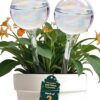 Iridescent Self Watering Globes, Glass Rainbow Plant Watering Globes, Self Watering Planter Insert, Automatic Plant Waterer Indoor (Medium-2 Pcs... Iridescent Self Watering Globes, Glass Rainbow Plant Watering Globes, Self Watering Planter Insert, Automatic Plant Waterer Indoor (Medium-2 Pcs...