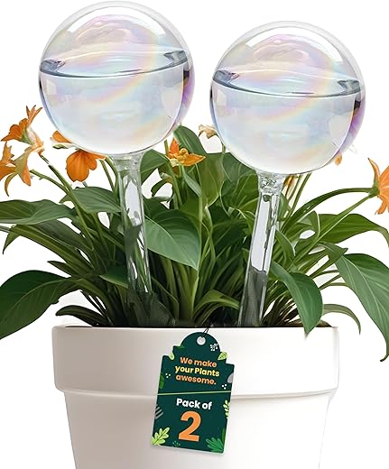 Iridescent Self Watering Globes, Glass Rainbow Plant Watering Globes, Self Watering Planter Insert, Automatic Plant Waterer Indoor (Medium-2 Pcs...