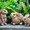 LEGIFO Bunny Decor Yard Decorations Outdoor Set of 3, Bunny Decorations for Home Garden Outdoor Statues, Easter Rabbit Figurines mom Gifts LEGIFO Bunny Decor Yard Decorations Outdoor Set of 3, Bunny Decorations for Home Garden Outdoor Statues, Easter Rabbit Figurines mom Gifts