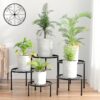 Linpla 5-Pack Decent Metal Plant Stands, Heavy Duty Flower Pot Stands for Multiple Plant, Anti-Rust Iron Plant Pot Shelf, Decoration Racks for Home... Linpla 5-Pack Decent Metal Plant Stands, Heavy Duty Flower Pot Stands for Multiple Plant, Anti-Rust Iron Plant Pot Shelf, Decoration Racks for Home...