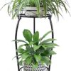 MOCORY Plant Stand Indoor Outdoor 2 Tier 25" Tall Metal Potted Holder Flower Pot Stand Heavy Duty Plant Shelf Rustproof Iron Multiple Plant Round... MOCORY Plant Stand Indoor Outdoor 2 Tier 25" Tall Metal Potted Holder Flower Pot Stand Heavy Duty Plant Shelf Rustproof Iron Multiple Plant Round...