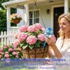 MOONSOUND Self Watering Globes for Plants - 10pcs Automatic Watering Bulbs for Indoor & Outdoor Potted Plants, Vacation Plant Care, Water... MOONSOUND Self Watering Globes for Plants - 10pcs Automatic Watering Bulbs for Indoor & Outdoor Potted Plants, Vacation Plant Care, Water...