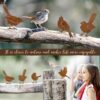 OULYDEKO 5PCS Rusty Birds Decoration,Outdoor Bird Wall Decor,Metal Birds Yard Decor, Metal Birds Craft Statue Ornaments - Garden Sculptures and... OULYDEKO 5PCS Rusty Birds Decoration,Outdoor Bird Wall Decor,Metal Birds Yard Decor, Metal Birds Craft Statue Ornaments - Garden Sculptures and...
