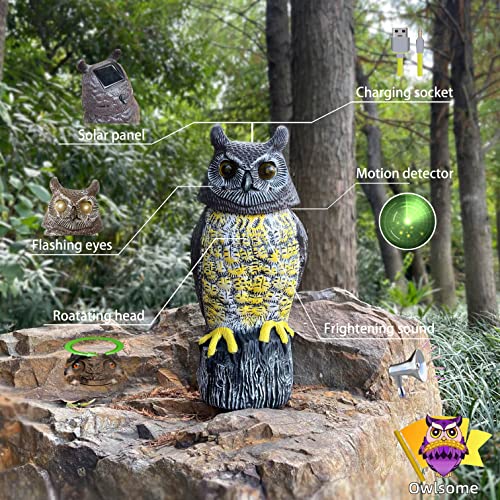 Owlsome Solar Owl with Glowing Eyes, Rotating Head, Hoot Sound, Motion Detector and Silent Mode, Plastic Owl Garden Sculpture, Garden Decoration Owlsome Solar Owl with Glowing Eyes, Rotating Head, Hoot Sound, Motion Detector and Silent Mode, Plastic Owl Garden Sculpture, Garden Decoration