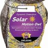 Owlsome Solar Owl with Glowing Eyes, Rotating Head, Hoot Sound, Motion Detector and Silent Mode, Plastic Owl Garden Sculpture, Garden Decoration Owlsome Solar Owl with Glowing Eyes, Rotating Head, Hoot Sound, Motion Detector and Silent Mode, Plastic Owl Garden Sculpture, Garden Decoration