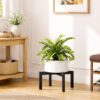 pickpiff Plant Stand Indoor Outdoor Flower Holder Riser Low Profile 150lbs Heavy Duty For Pots 5–12'' Black, Metal