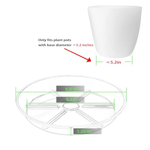Plant Saucer 4 6 8 10 12 inch, 6 Packs Clear Planter Saucers Pot Trays, Durable Round Plastic Flower Plant Water Drip Tray for Pots, Plant Dish... Plant Saucer 4 6 8 10 12 inch, 6 Packs Clear Planter Saucers Pot Trays, Durable Round Plastic Flower Plant Water Drip Tray for Pots, Plant Dish...