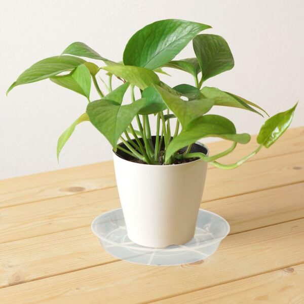 Plant Saucer 4 inch 6 Pack Drip Tray, 4 5 6 8 9 10 12 14 16 18 inch, Heavy Sturdy Plastic Planter Flower Pot Saucers for Indoor Outdoor Garden,...